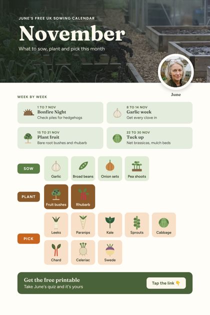 June's November sowing calendar